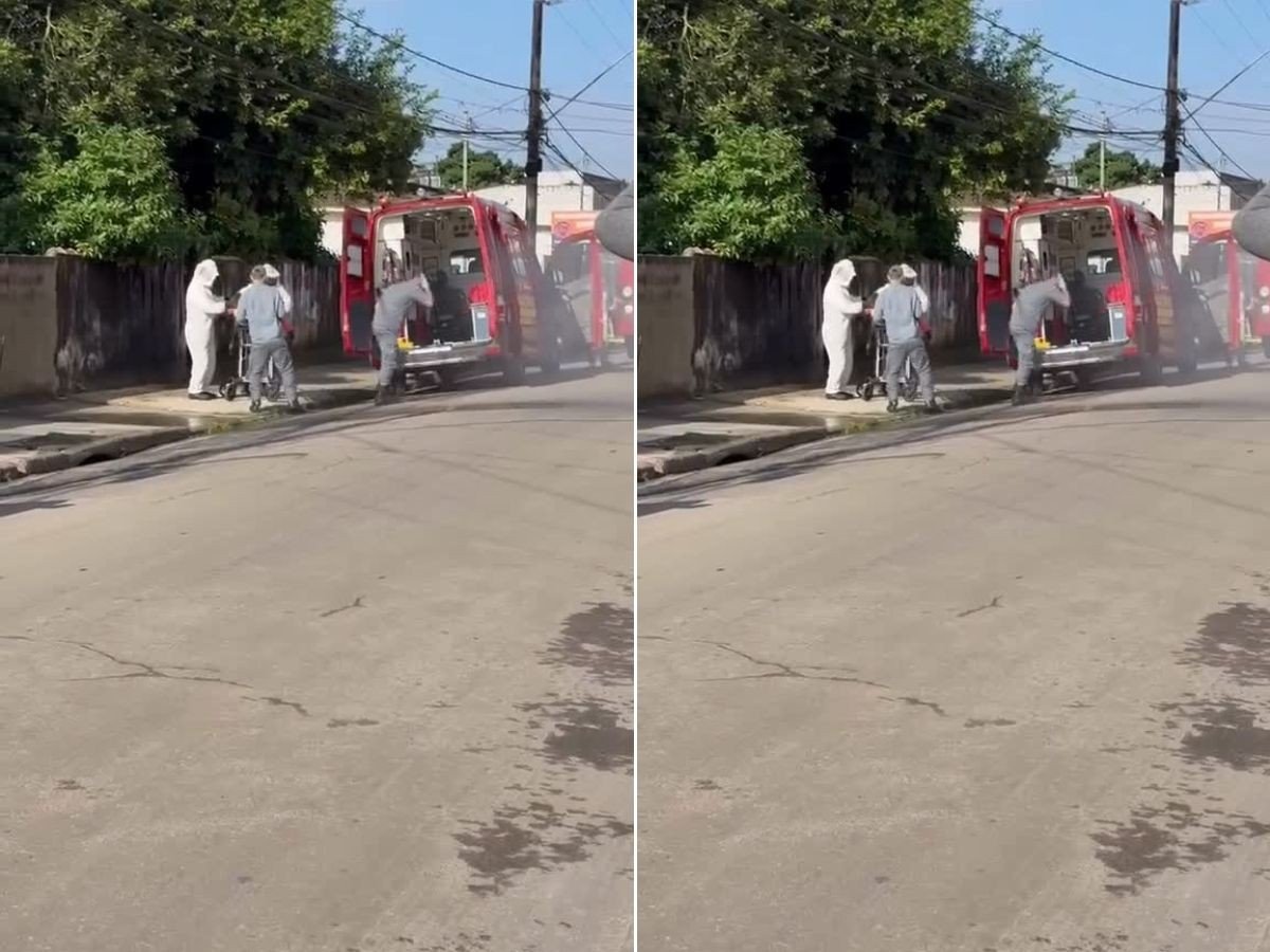 Homem é socorrido inconsciente após ataque de abelhas em Guarujá - Imagem do artigo