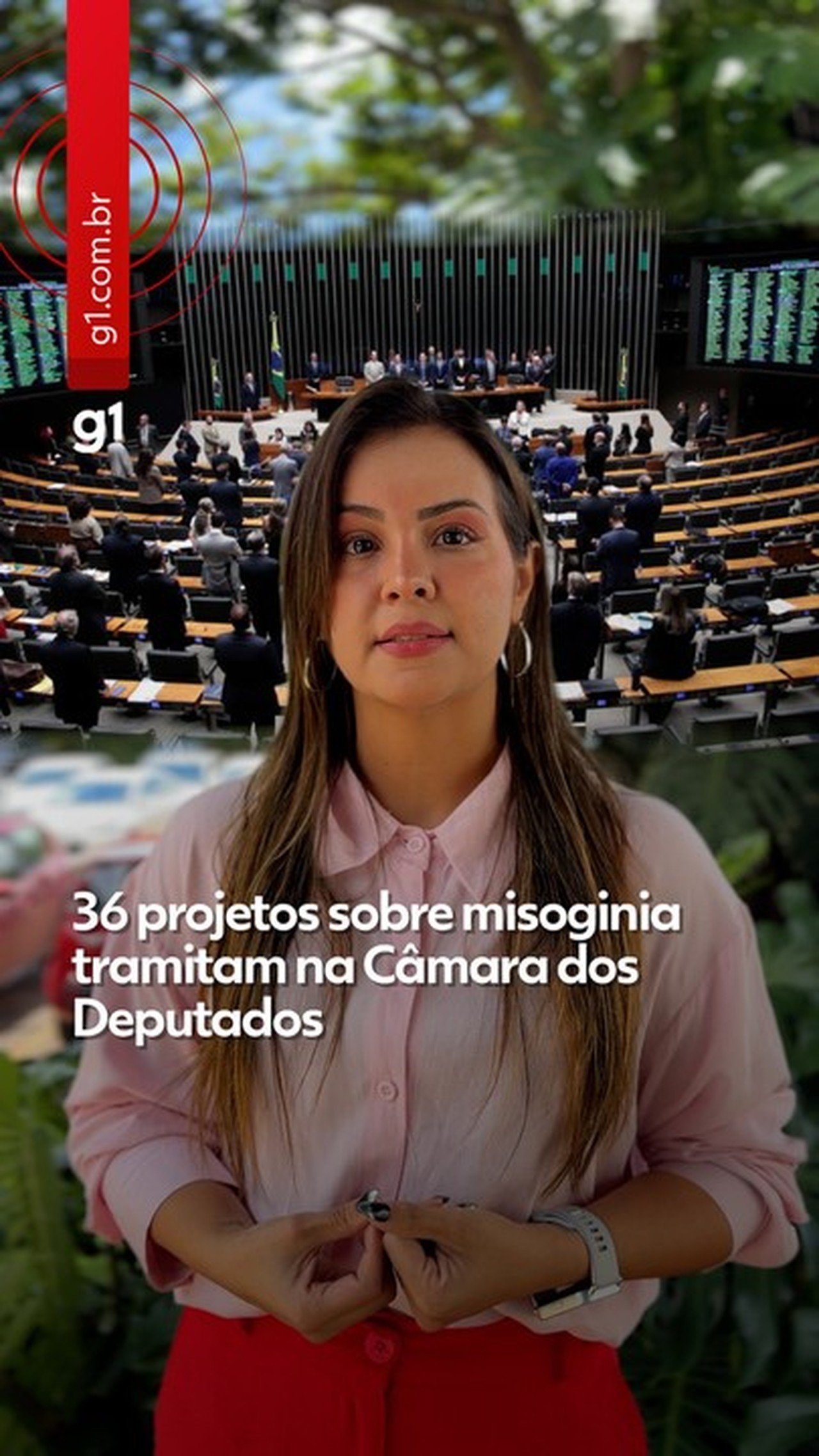 Câmara analisa hoje projeto que coloca misoginia no mesmo patamar do crime de racismo - Imagem do artigo