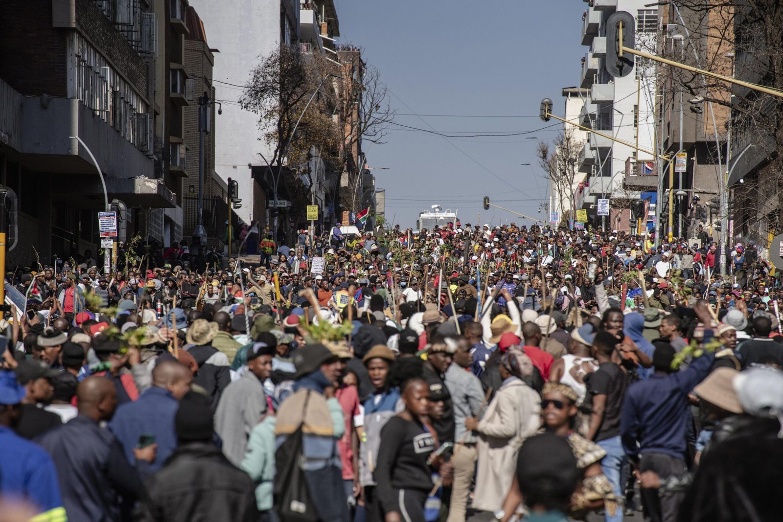 Protestos contra imigrantes deixam mortos e desalojados na África do Sul - Imagem do artigo