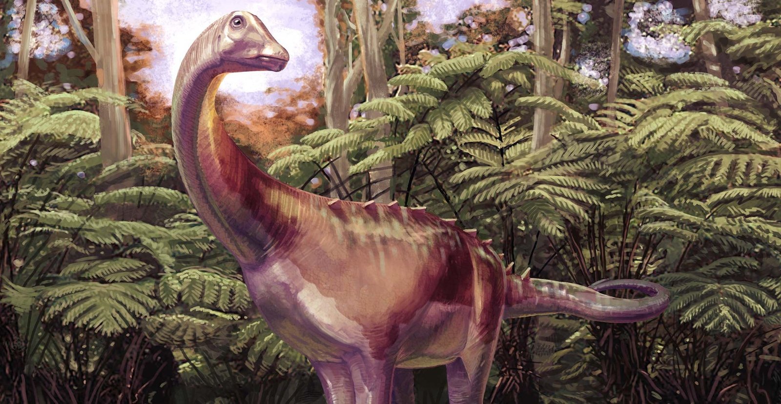 Fóssil esquecido há quatro décadas é identificado como primeiro osso de dinossauro da Antártida - Imagem do artigo