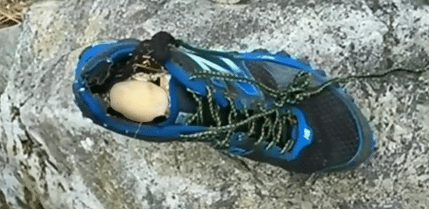 Ciência esclarece série de pés encontrados dentro de tênis no litoral do Canadá - Imagem do artigo