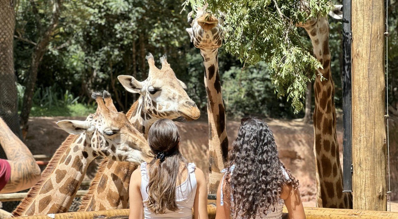 Zooparque Itatiba prepara programação especial para as férias de julho - Imagem do artigo