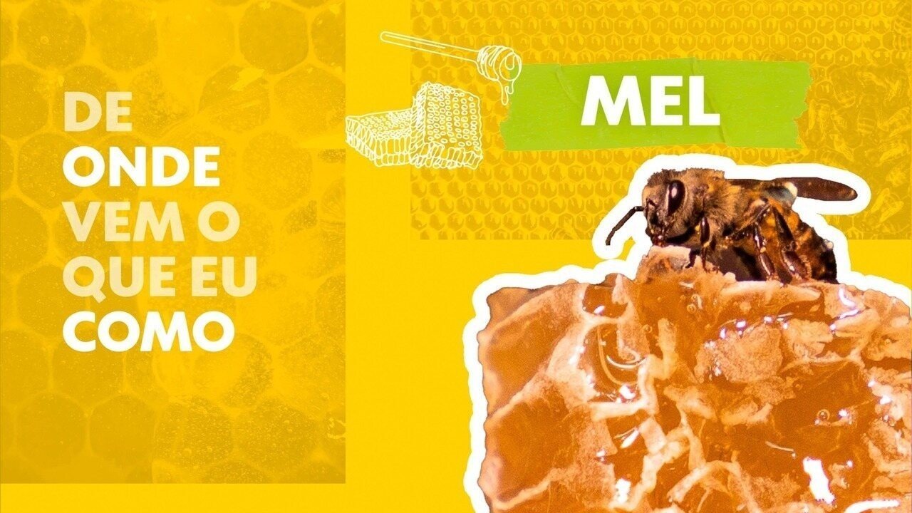 Singapurense salva 6 milhões de abelhas ao realocar colmeias com as próprias mãos - Imagem do artigo