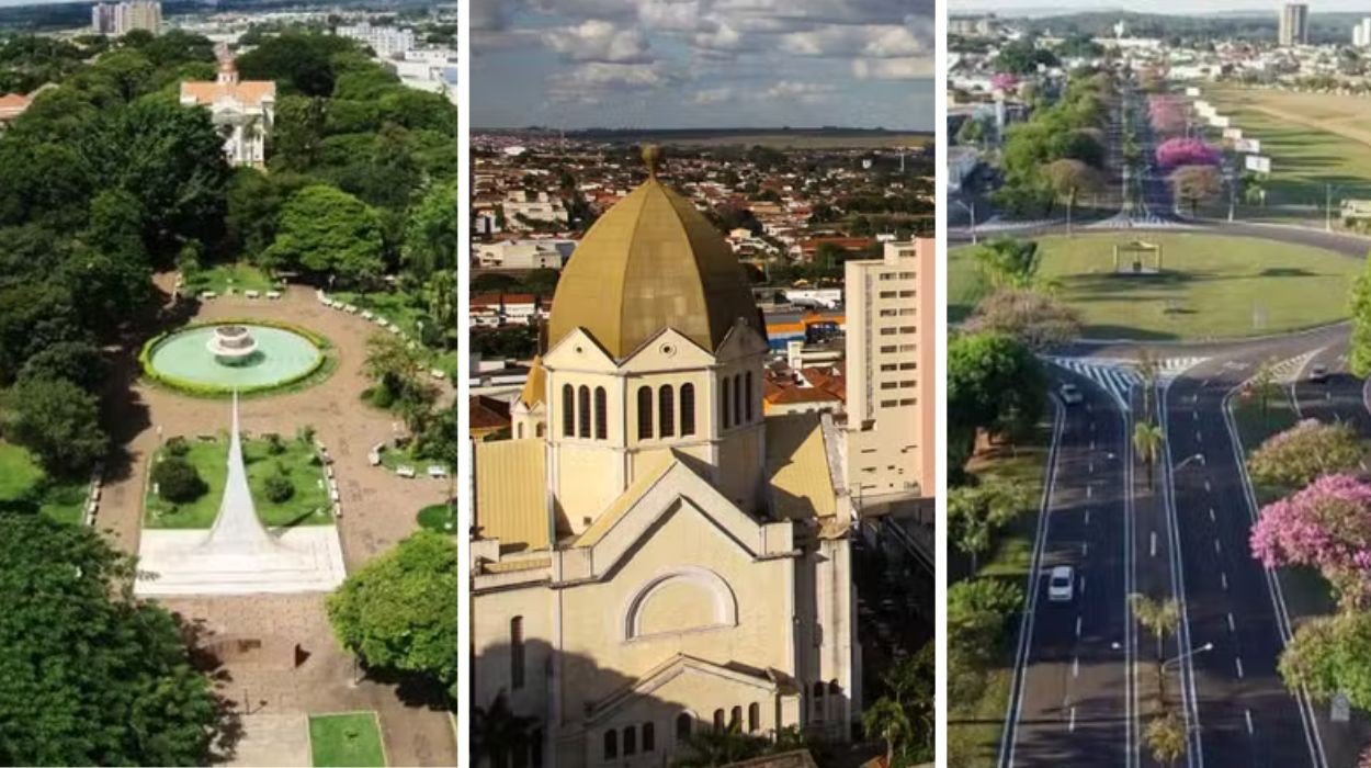 Feriado de 9 de Julho: veja o que abre e fecha em Araraquara, Rio Claro e São Carlos - Imagem do artigo