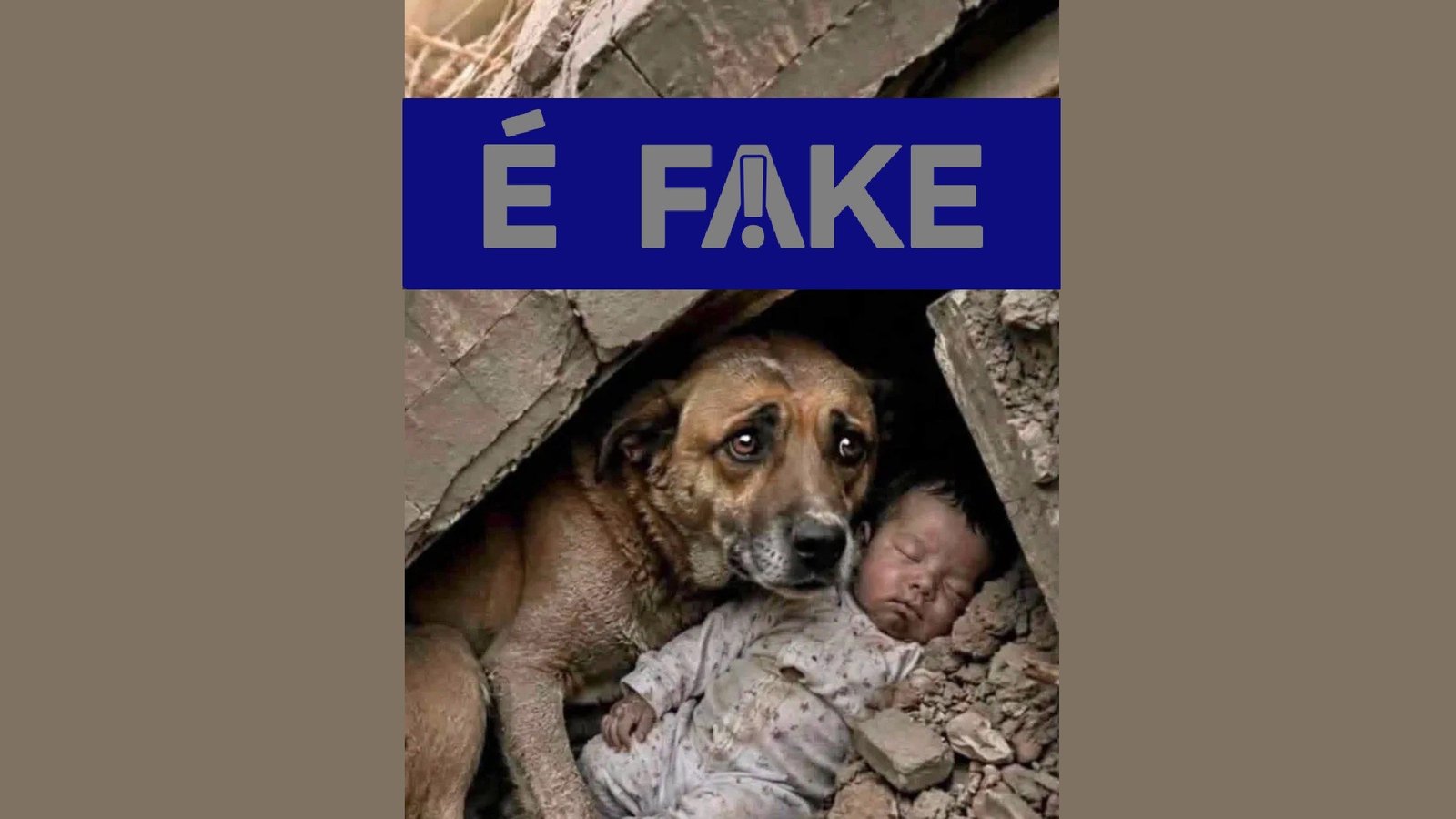Imagem de cachorro protegendo bebê após terremoto na Venezuela é gerada por inteligência artificial, aponta verificação - Imagem do artigo