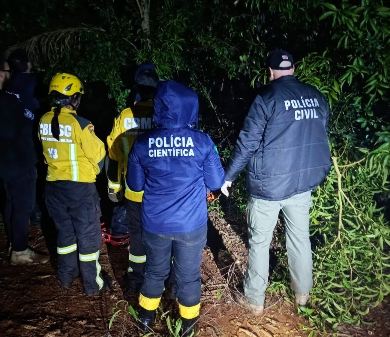 Corpo de adolescente sequestrada é encontrado com marcas de execução no Oeste de SC - Imagem do artigo
