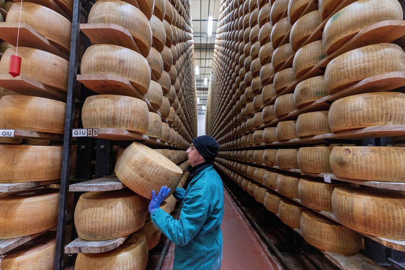 Ondas de calor desafiam produção do Parmigiano Reggiano e elevam custos na Itália - Imagem do artigo