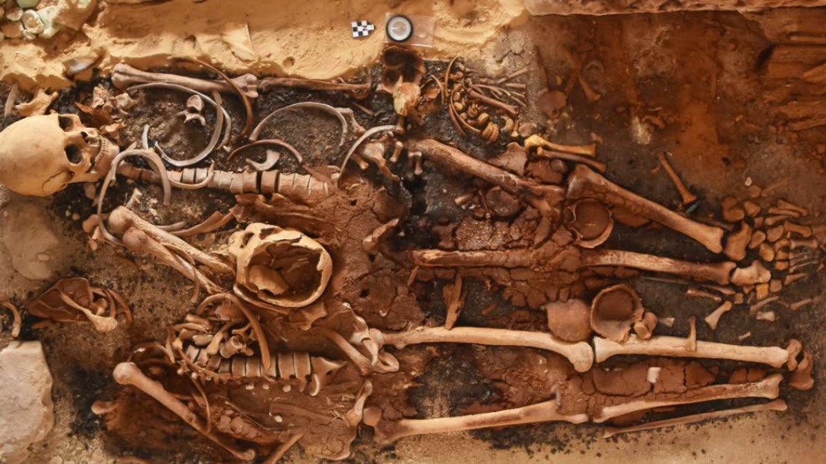 Arqueólogos acham 18 tumbas no Egito com “línguas” de ouro e sarcófago lacrado - Imagem do artigo