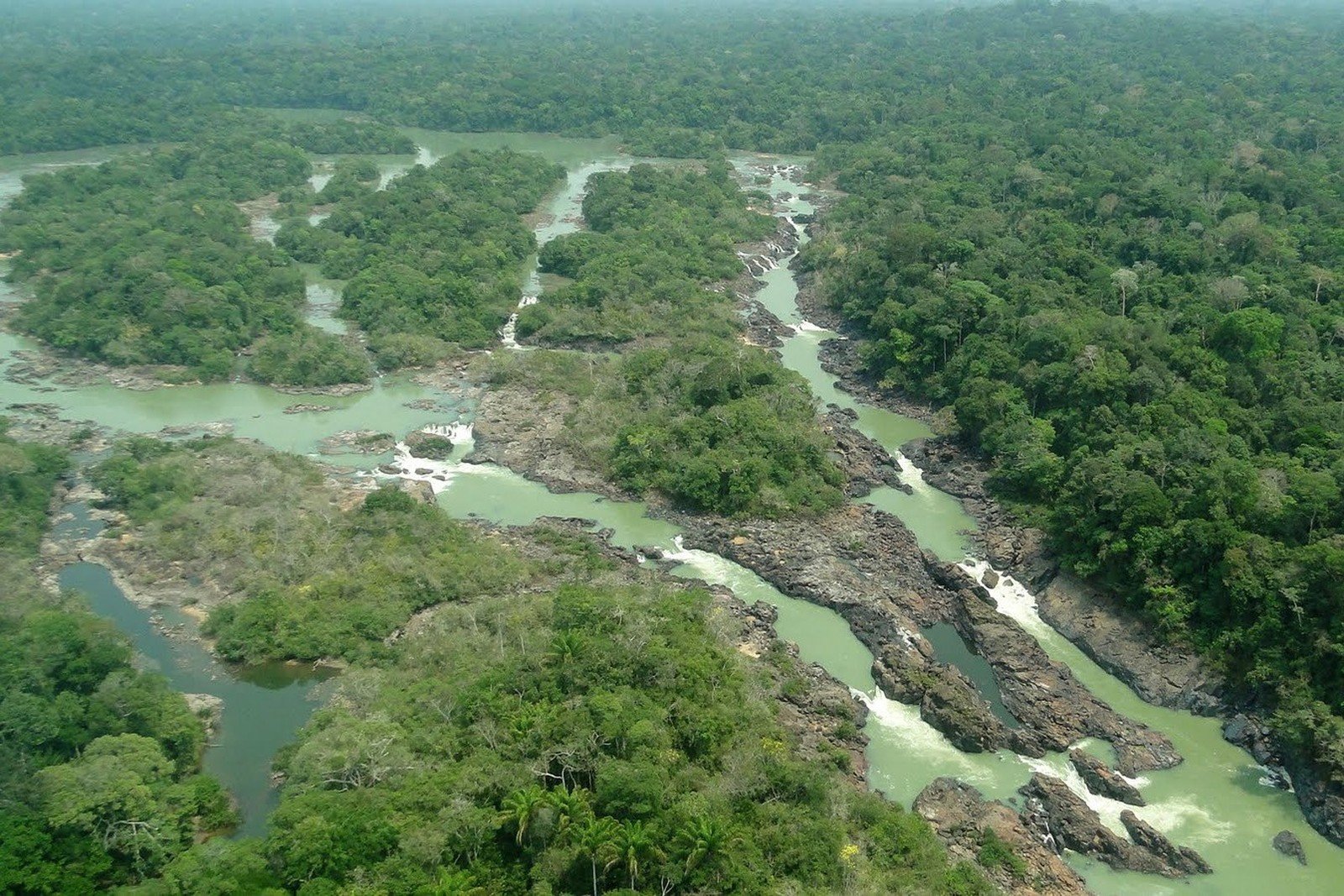 Senado aprova projeto que reduz 37,4% da Floresta Nacional do Jamanxim e cria nova APA no Pará - Imagem do artigo