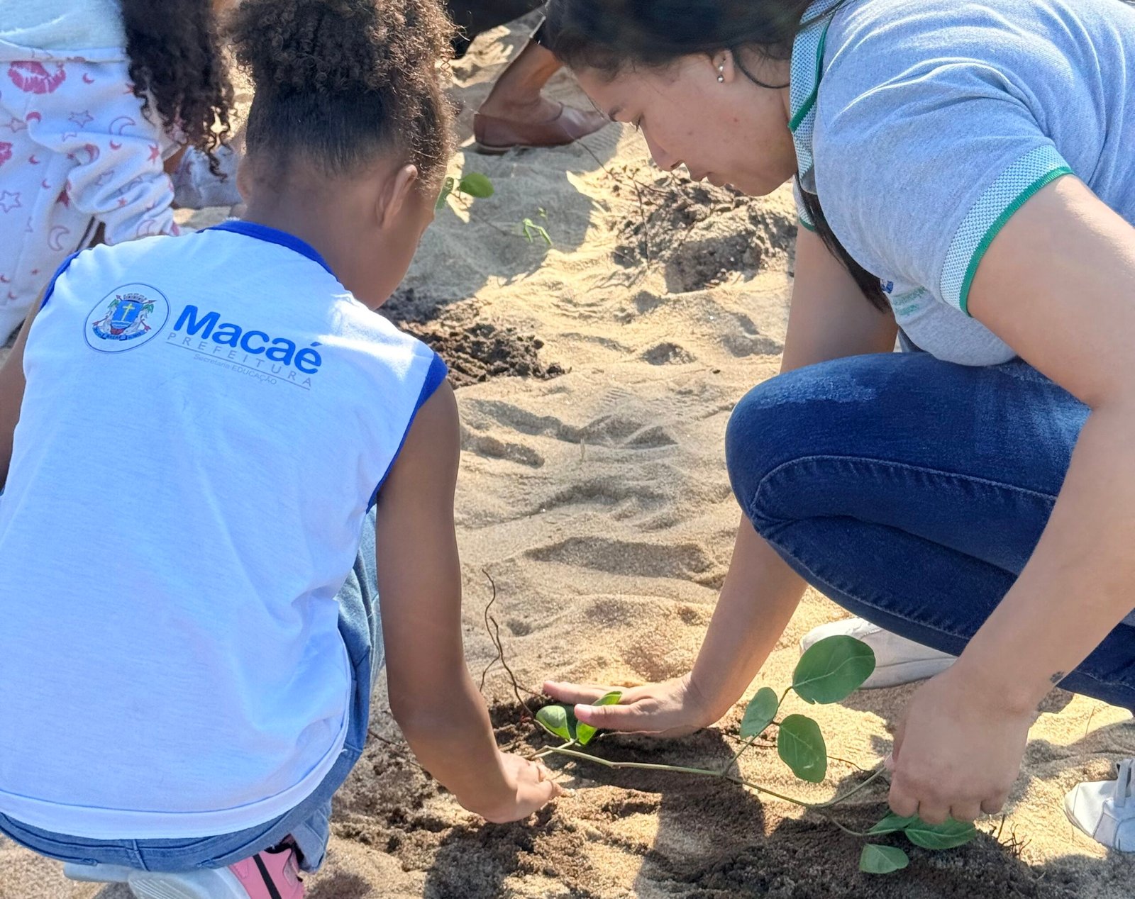 Praia do Pecado recebe 10 mil mudas nativas para restaurar restinga em Macaé - Imagem do artigo