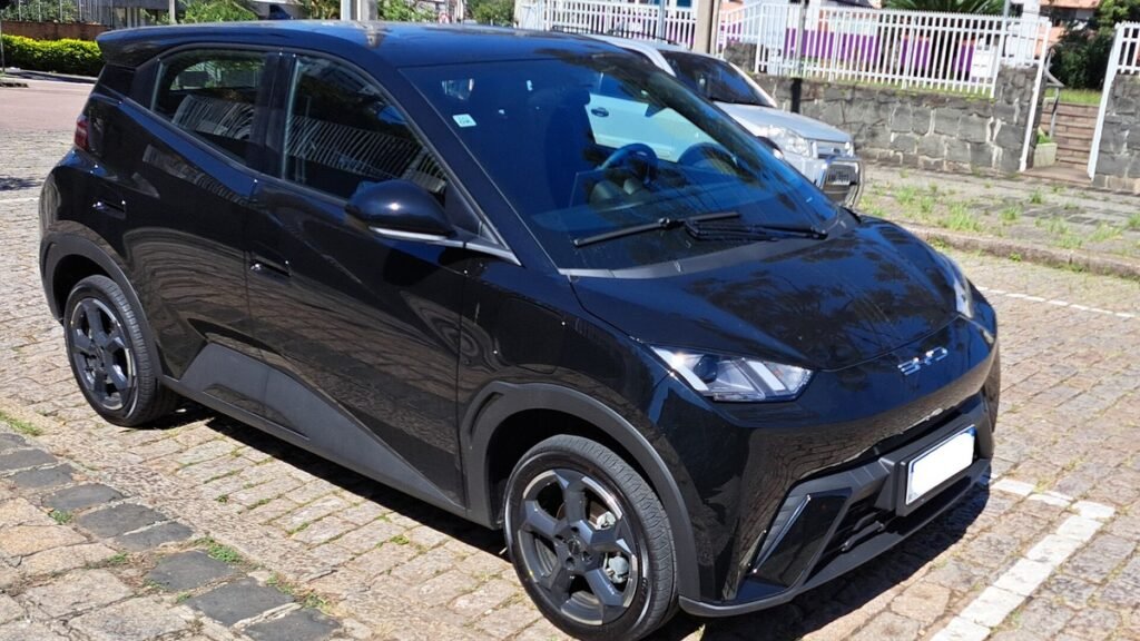 BYD Dolphin Mini preto estacionado