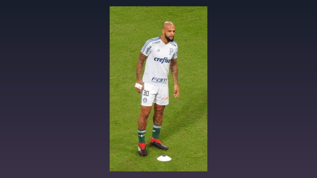 Felipe Melo com a camisa do Palmeiras
